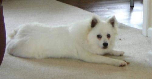 Annie of GA