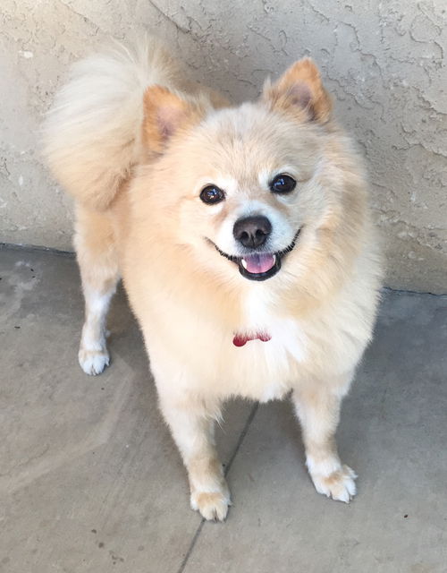 Skippy of CA