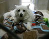 Suzette in PA