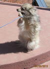 Annie in CO