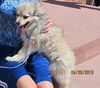 Annie in CO