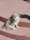 Annie in CO