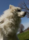 Sugar of  Oneida, NY