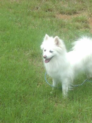 Skylar of GA