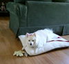 Lucy in WA