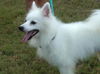 Luka of Tampa, FL