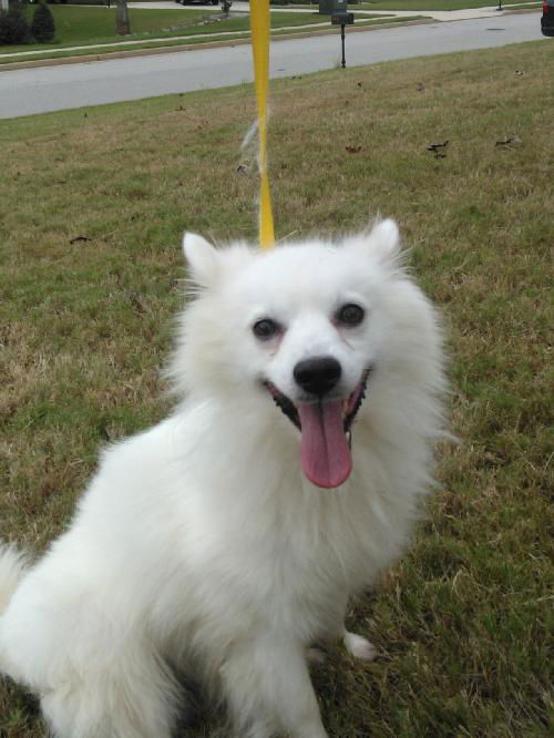 Luka of Tampa, FL