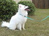 Luka of Tampa, FL