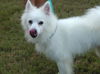 Luka of Tampa, FL