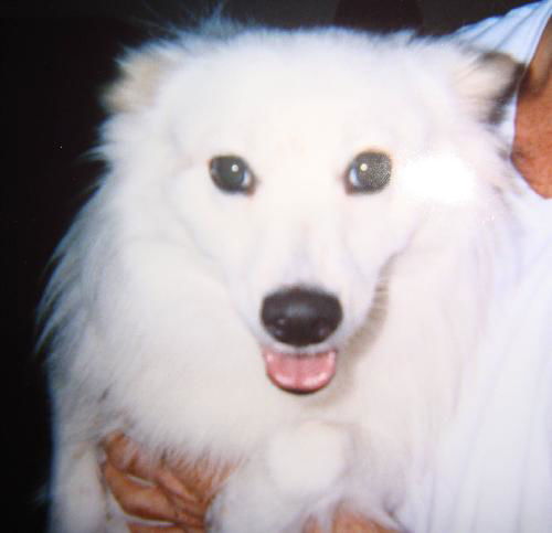 Lexie
