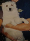 Lexie