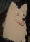 Lexie