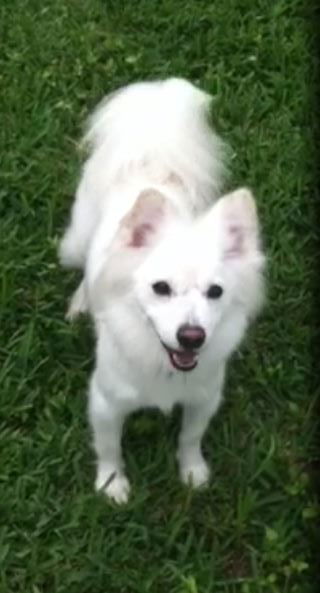 Apollo of Boca Raton, FL