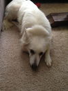 Suzie of CA