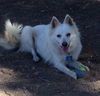 Suzie of CA