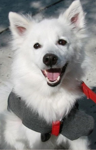Apollo of Bradenton, FL