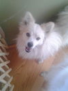 Solomon in CO