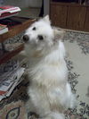 Sonny of NC