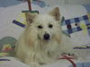 Sonny of NC