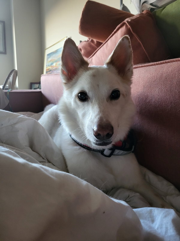 Casper of MD