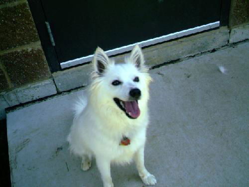 Spike