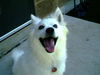 Spike
