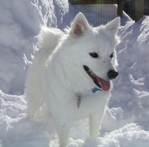 Snowflake!