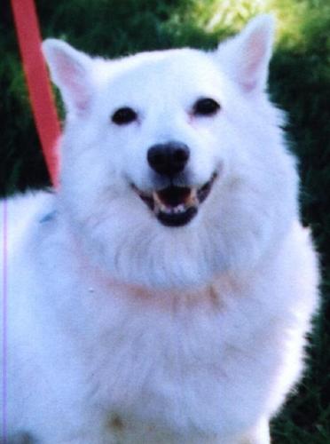 Snowey!