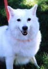 Snowey!