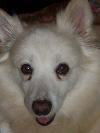 Holly of NC