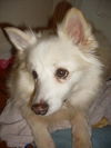 Holly of NC