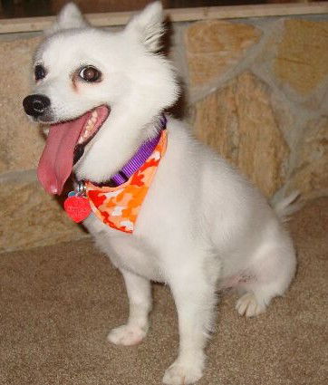 Lucy!