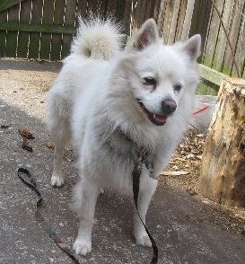 Klondike
