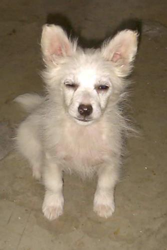Lola!