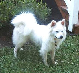 Shiloh!
