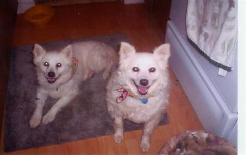 Luckee and Sissy