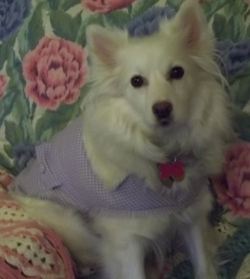 Lizzie of NC