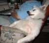 Sweety