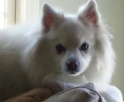 Koby of Manalapan, NJ