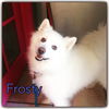 Frosty of Miami, Florida