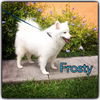 Frosty of Miami, Florida