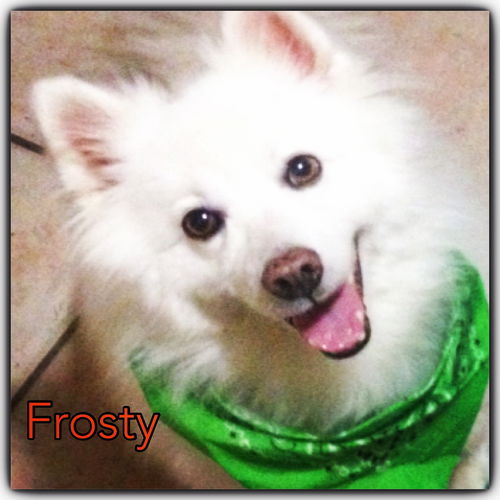 Frosty of Miami, Florida