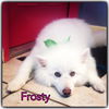 Frosty of Miami, Florida