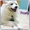 Frosty of Miami, Florida