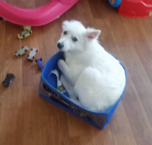 Luke of Deltona, FL