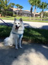 Luke of Deltona, FL