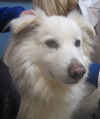 Snoopy of Cincinnati, OH