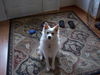 Annie