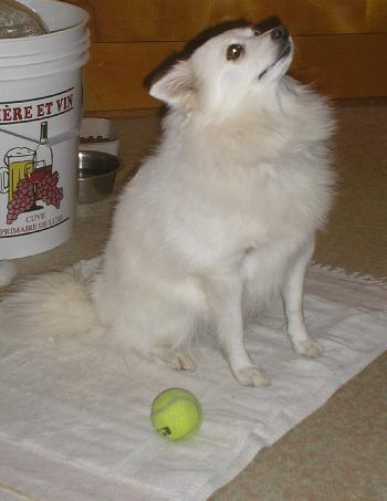 Kita