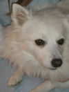 Kita